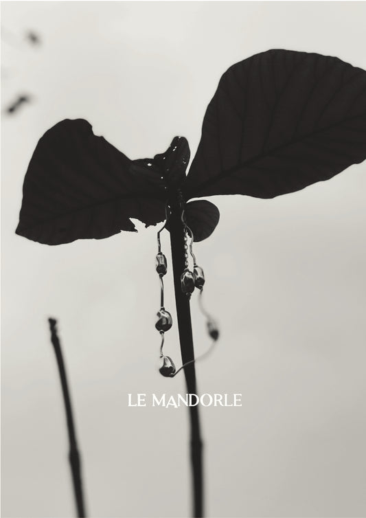 conversation with LE MANDORLE